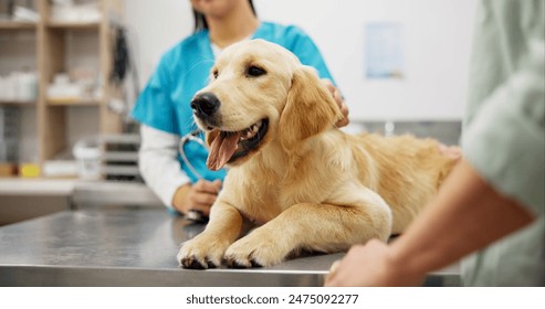 畅享动漫世界：官方版正版入口下载指南