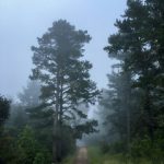 畅享哈哩哈哩电视剧免费观看,尽情追剧不花钱 0xj6r