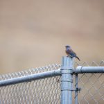 畅享四虎影院在线观看,尽览精彩影视内容 18w8r7nmf