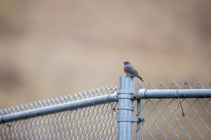 畅享四虎影院在线观看，尽览精彩影视内容