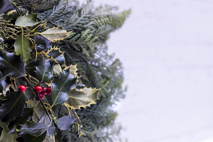 素人新品-nc18嫩草：探索清新自然的时尚魅力与个性风格