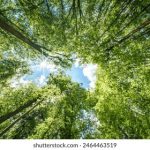 畅享双男主漫画,免费阅读精彩故事! 2eje8