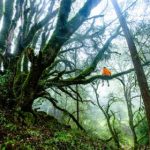 畅享在线斯诺克游戏,体验真实竞技乐趣 3a8rfxb