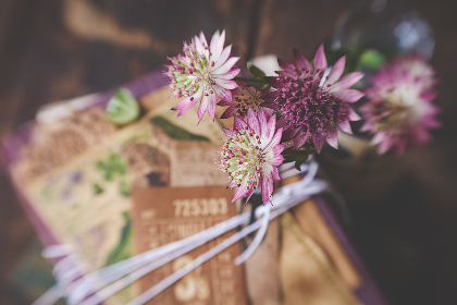 糖心Vlog改名背后的故事与新方向探讨