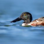 畅享在线动漫观看免费网站,尽情追番无压力 3mpa29u9