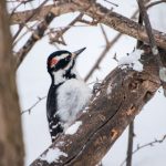 红桃影视88:探索影视世界的无限魅力与精彩 50kk9lh