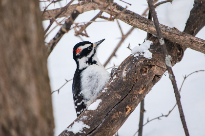 红桃影视88：探索影视世界的无限魅力与精彩