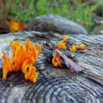 畅享努努影视在线观看,尽览热门影视精彩 5bu7t50xu