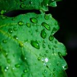 糖心vlog破解版在线:畅享无限精彩,轻松获取最新内容! 905pj62wf3