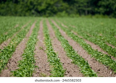 精选美女头像，展现你的独特魅力与风格