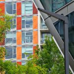 精彩蚂蚁动画片大全,免费观看乐趣无穷 i0baoj