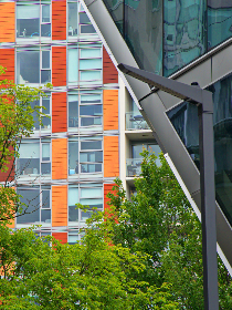 精彩蚂蚁动画片大全，免费观看乐趣无穷