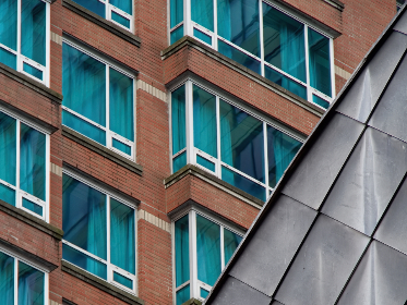 糖心官网免费版亮点：探索全新功能与用户体验的完美结合