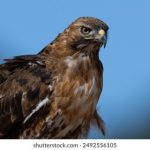 畅享午夜影院在线看免费高清电影,尽情体验视听盛宴 meyw2h