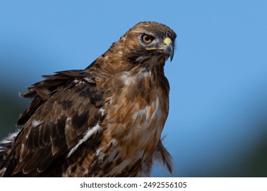 畅享午夜影院在线看免费高清电影，尽情体验视听盛宴