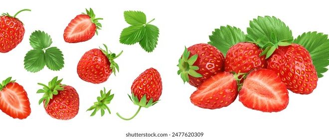 精灵探访记在线观看免费版全集 漫画：探索奇幻世界的冒险之旅与感动故事