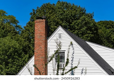 畅享唐人街影视下载，尽览华语经典与新作