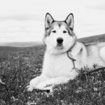 精彩美女打扑克牌视频全过程揭秘魔术技巧 u4uajiqeb