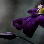 畅享动漫岛在线看,尽情追逐你的动漫梦想 vco550gpr