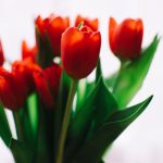 畅享包子漫画网页版在线阅读,尽情探索精彩故事 x5z3lc5s