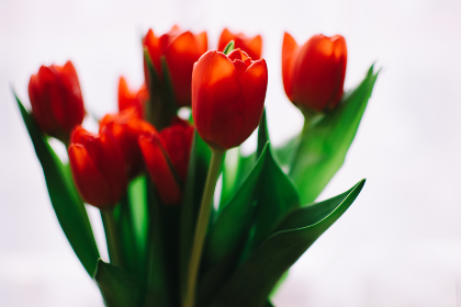 畅享包子漫画网页版在线阅读，尽情探索精彩故事