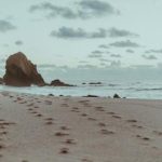 精彩社会摇舞蹈视频完整版,带你领略舞动魅力 xb9ywe